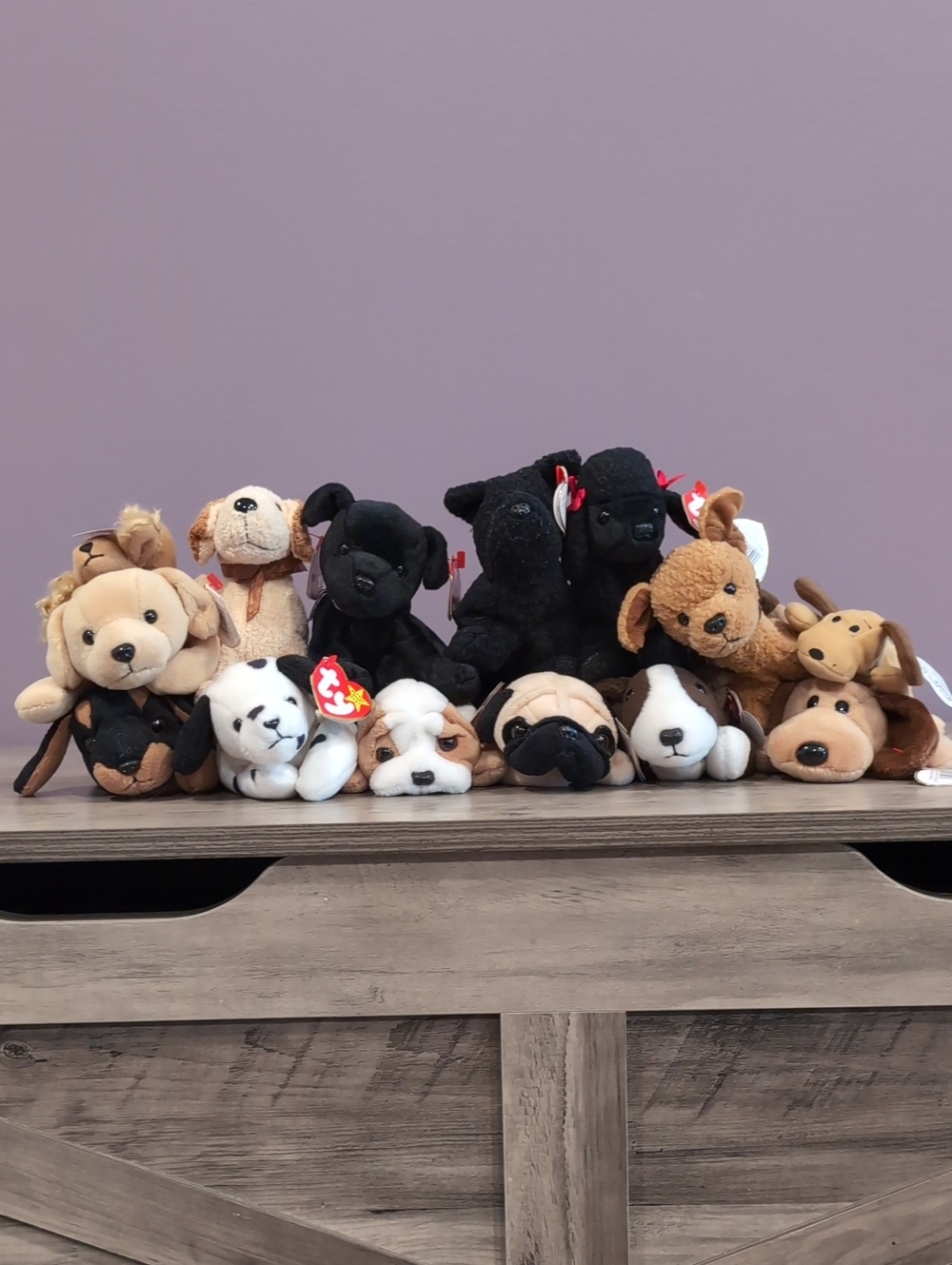 Ty Plush Puppy Collection